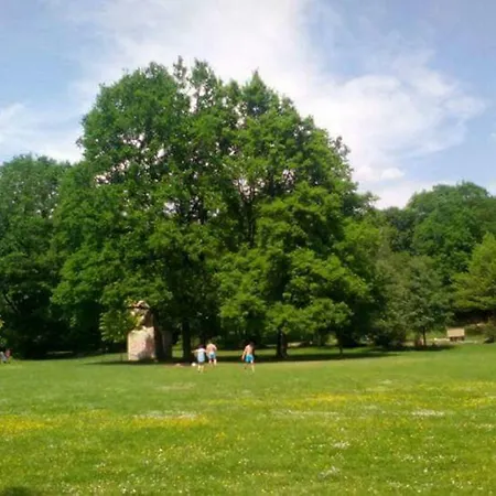 In * Kaiserslautern